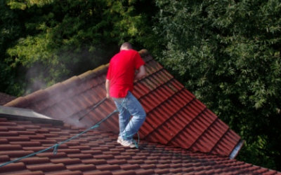 Ways To Prevent Roof Damage (#1: Roof Cleaning!)