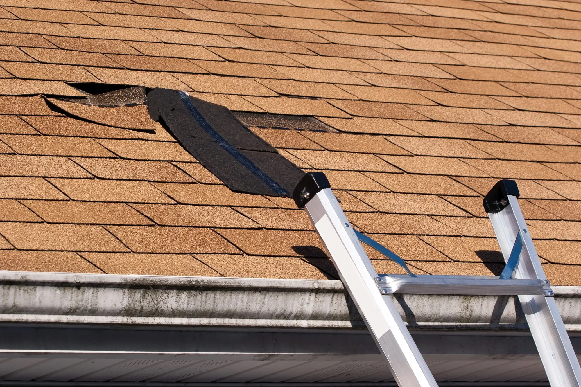 Best Roof Leak Repair in Cupertino