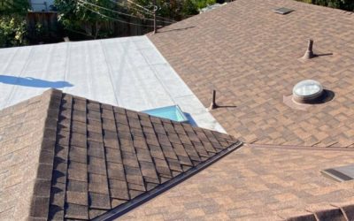 9 Advantages Of Using A Professional Mold Removal Service