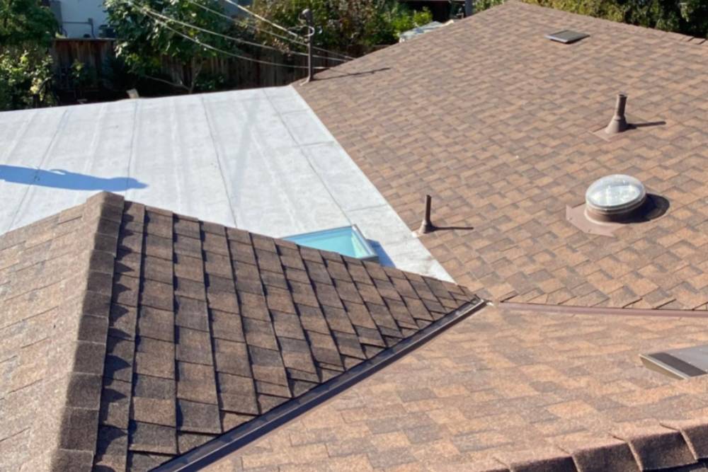 9 Advantages Of Using A Professional Mold Removal Service