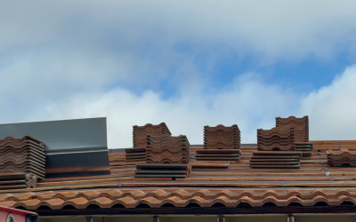 What’s Growing on Your Roof?